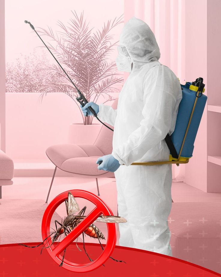 Kırklareli haşere ilaçlama